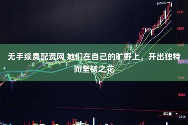 无手续费配资网 她们在自己的旷野上，开出独特而坚韧之花